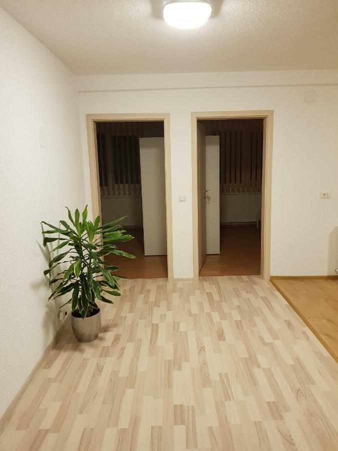 Ferienwohnungen 阿尔伯斯塔特 外观 照片